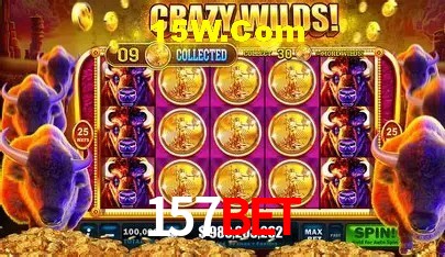 cassino 157Bet